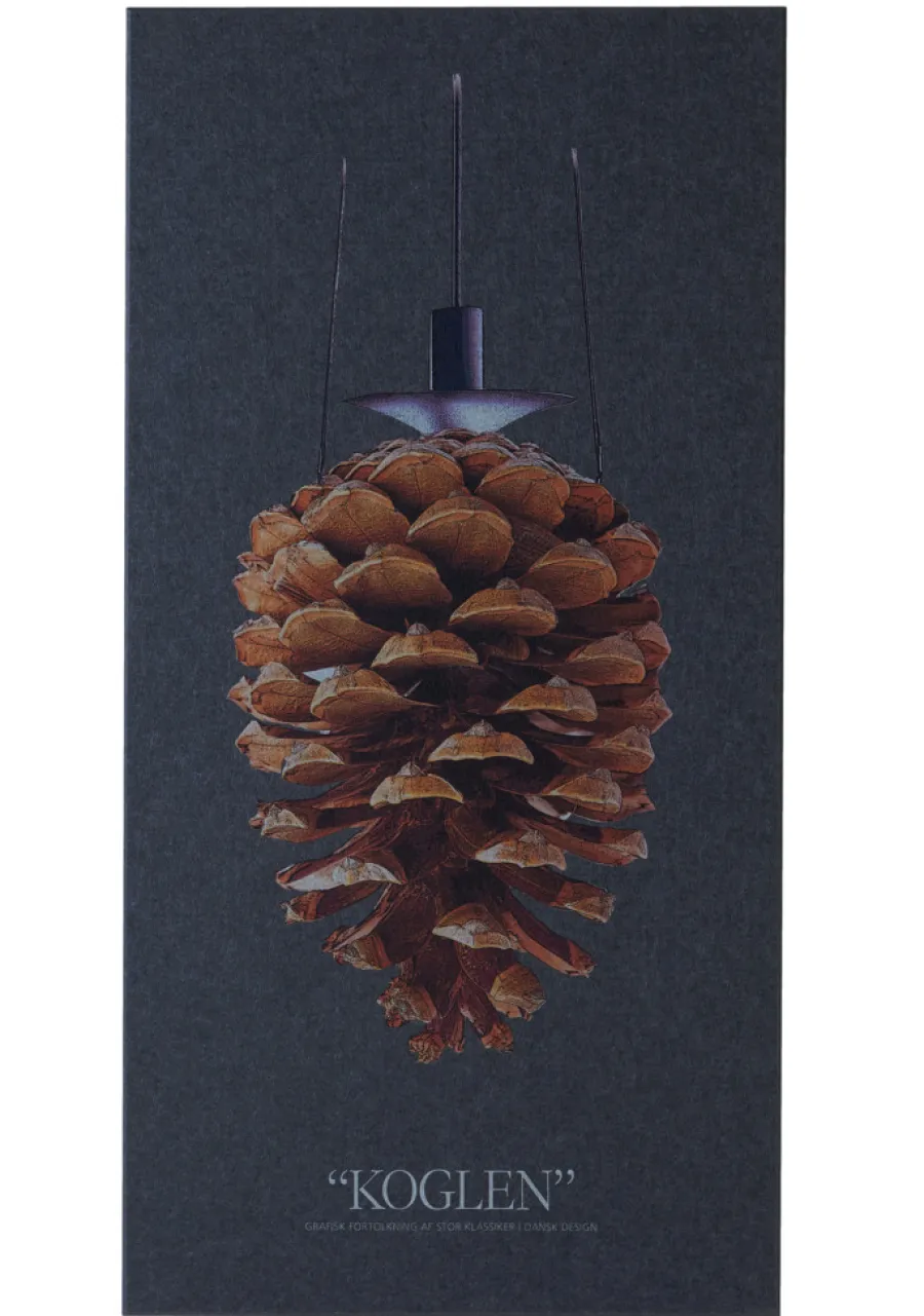 FibroTech Akustikpaneler & Tilbehør*Akustikbillede Art-Acoustic koglen 60 x 120 cm - mørk grå