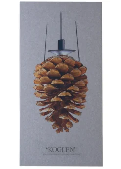 FibroTech Akustikpaneler & Tilbehør*Akustikbillede Art-Acoustic koglen 60 x 120 cm - lys grå