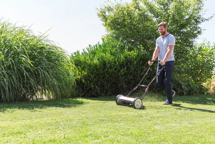 AL-KO Plæneklippere*Easy 38-5 Combi cylinderklipper m/opsamler