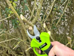 Garden® Beskæring*Beskæresaks akku 21 V 2,0 Ah -