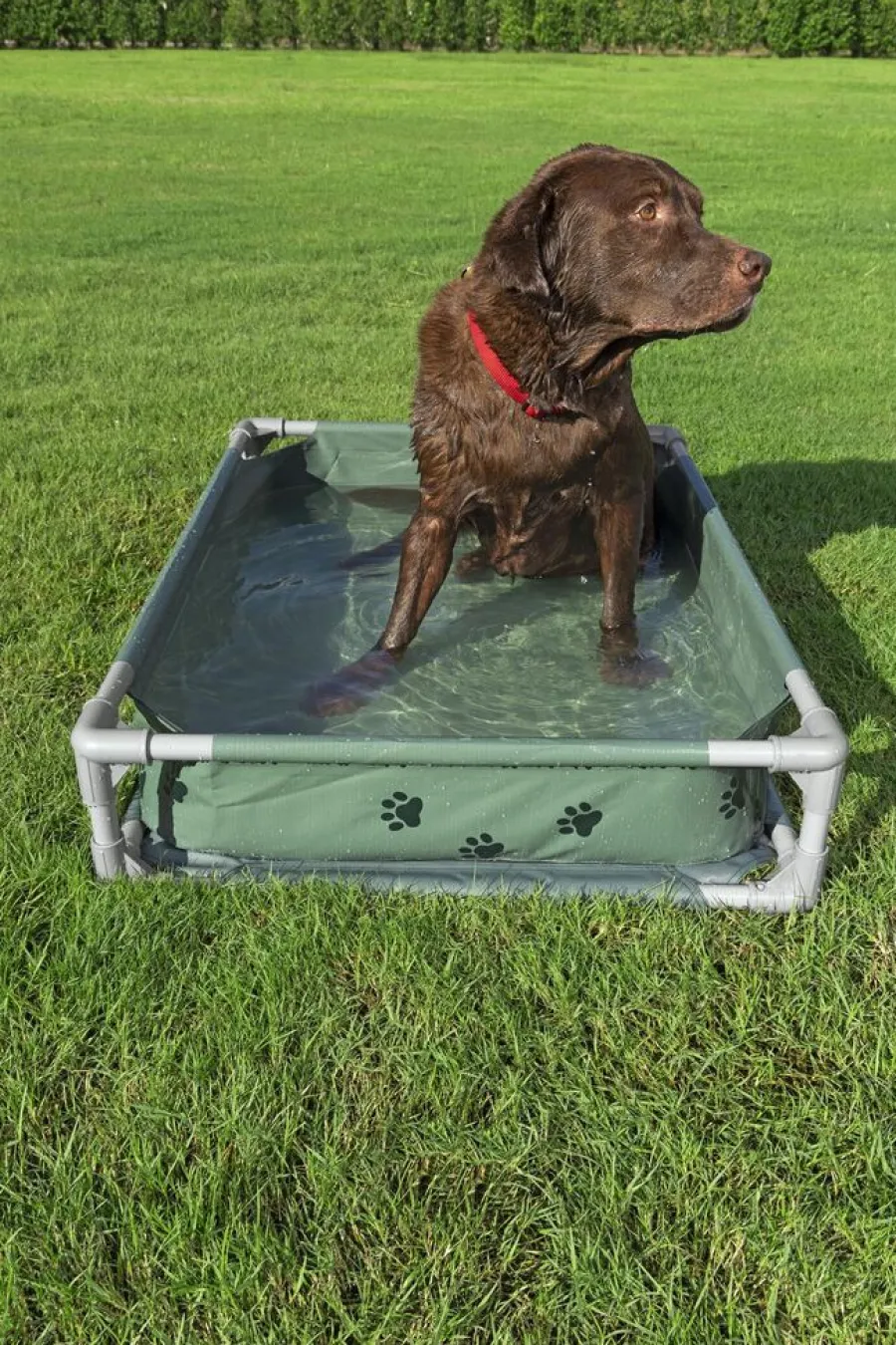 Bestway Hunde- Og Katteartikler*Fetchin' Fun legepool og seng