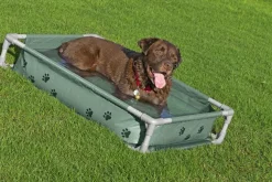 Bestway Hunde- Og Katteartikler*Fetchin' Fun legepool og seng
