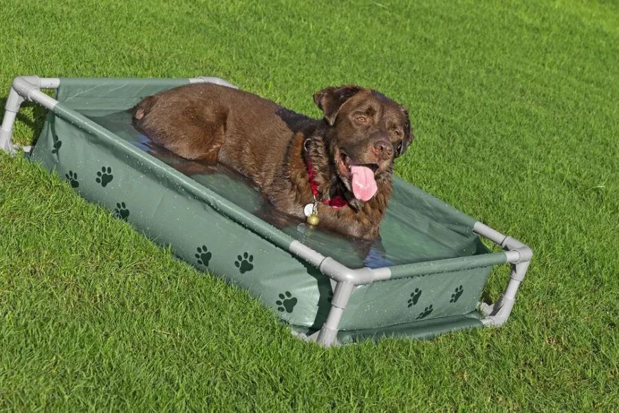 Bestway Hunde- Og Katteartikler*Fetchin' Fun legepool og seng