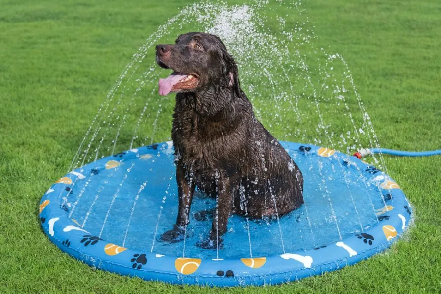 Bestway Hunde- Og Katteartikler*Fetchin' Fun plaskedug