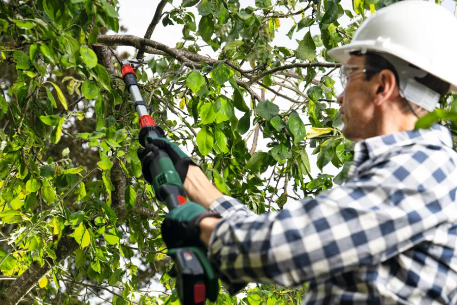 Bosch Beskæring*AdvancedPrune 18V-45 beskæresaks