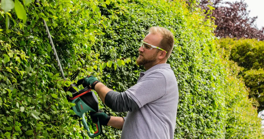 Bosch Hækkeklippere*el-hækkeklipper 480 W 50 cm