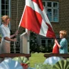 Dano Mast Flag & Flagstænger*flagstang 8 meter