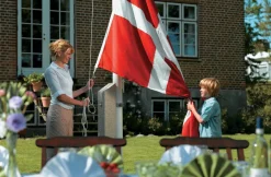 Dano Mast Flag & Flagstænger*flagstang 10 meter