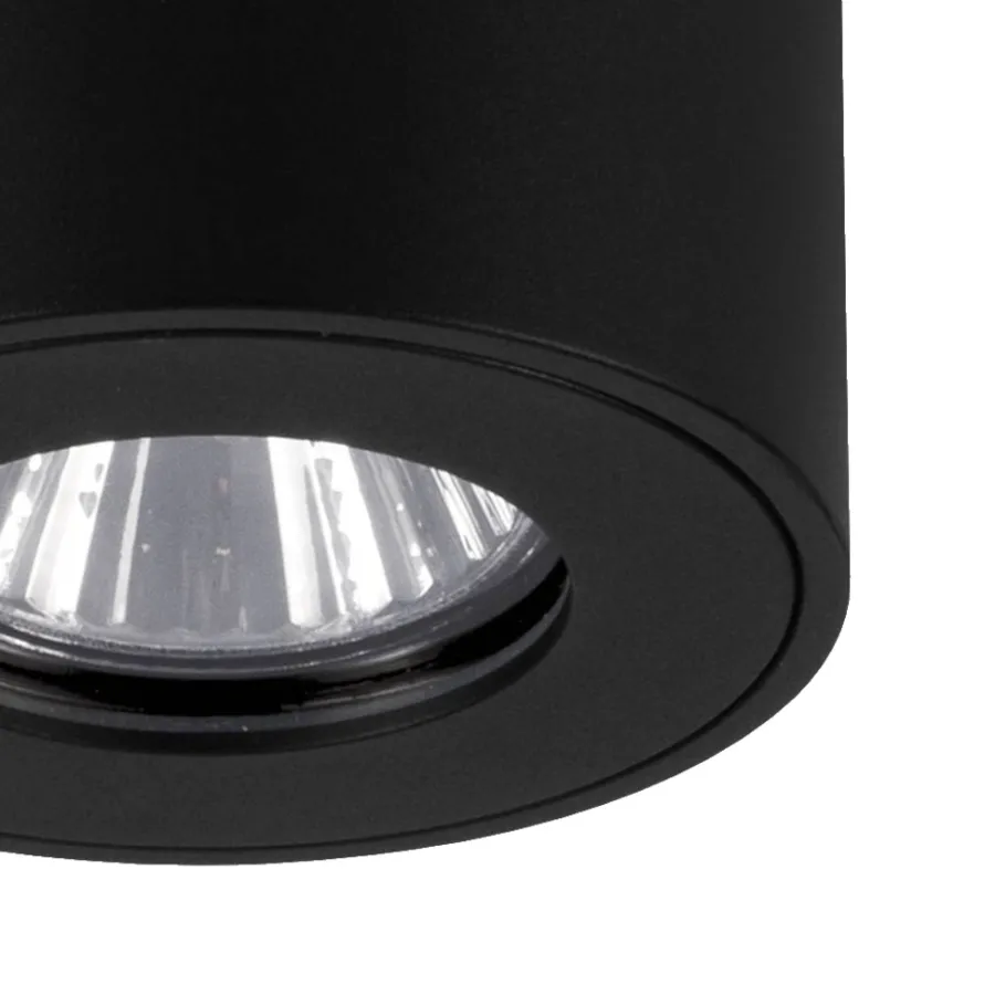 Eglo Udendørslamper*Torrecola loftlampe rund Sort