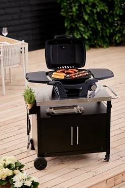 Grillexpert® Gasgrill*Gasgrill bærbar 1 brænder -