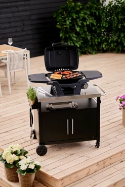 Grillexpert® Gasgrill*Gasgrill bærbar 1 brænder -