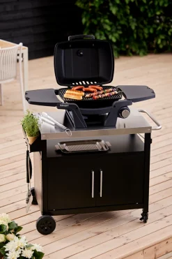 Grillexpert® Gasgrill*Gasgrill bærbar 1 brænder -