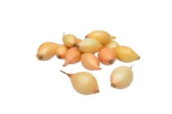 Grønne Fingre® Løg*stikløg gule løg Sturon 250 g