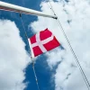 Flag & Flagstænger*Høflighedsflag til båd 30 x 40 cm
