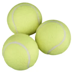 PetZone Hunde- Og Katteartikler*Hundelegetøj tennisbold med lyd 3-pk. -