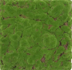 Jangal Grønne Vægpaneler|Akustikpaneler & Tilbehør*Modular Wall mospanel 52 x 52 cm - Forrest Green Bulk