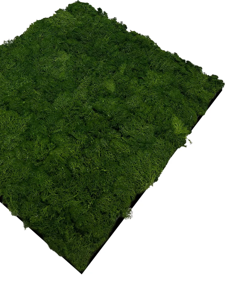 Jangal Grønne Vægpaneler|Akustikpaneler & Tilbehør*Modular Wall mospanel 52 x 52 cm - Dark Green Dark Green Moss