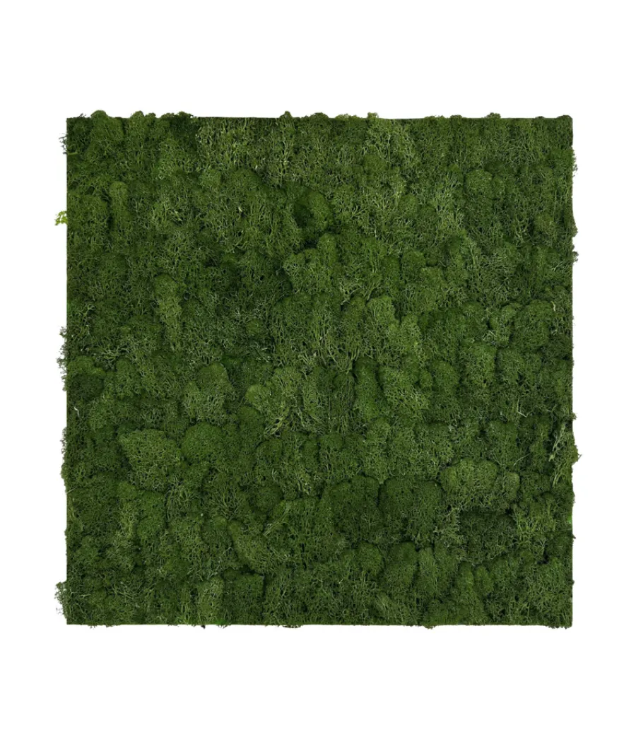 Jangal Grønne Vægpaneler|Akustikpaneler & Tilbehør*Modular Wall mospanel 52 x 52 cm - Dark Green Dark Green Moss