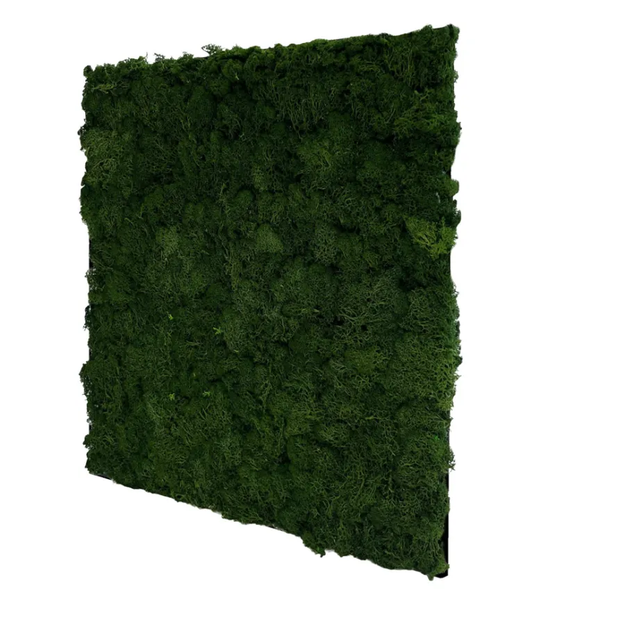 Jangal Grønne Vægpaneler|Akustikpaneler & Tilbehør*Modular Wall mospanel 52 x 52 cm - Dark Green Dark Green Moss