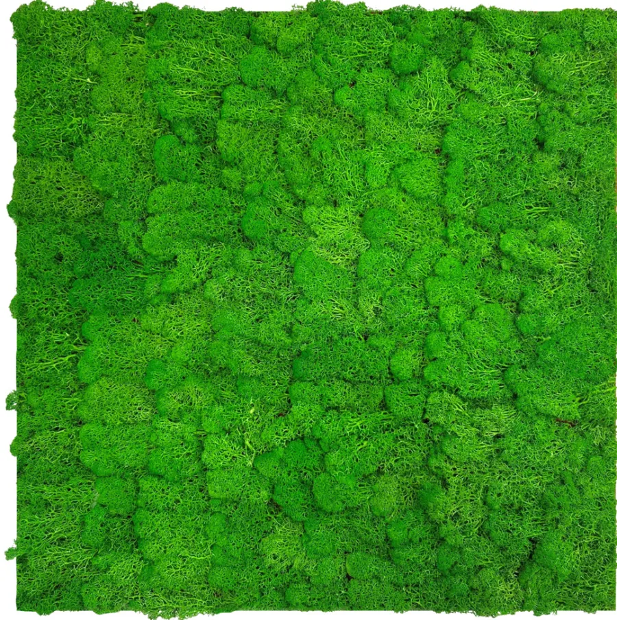 Jangal Grønne Vægpaneler|Akustikpaneler & Tilbehør*Modular Wall mospanel 52 x 52 cm - Rich Green Rich Green Moss