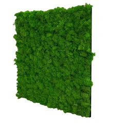 Jangal Grønne Vægpaneler|Akustikpaneler & Tilbehør*Modular Wall mospanel 52 x 52 cm - Rich Green Rich Green Moss