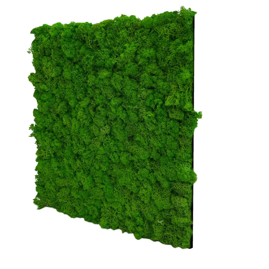 Jangal Grønne Vægpaneler|Akustikpaneler & Tilbehør*Modular Wall mospanel 52 x 52 cm - Rich Green Rich Green Moss