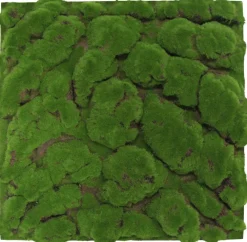 Jangal Akustikpaneler & Tilbehør|Grønne Vægpaneler*Modular Wall mospanel 52 x 52 cm - Dark Green Bulk