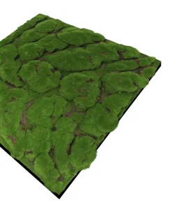 Jangal Akustikpaneler & Tilbehør|Grønne Vægpaneler*Modular Wall mospanel 52 x 52 cm - Dark Green Bulk
