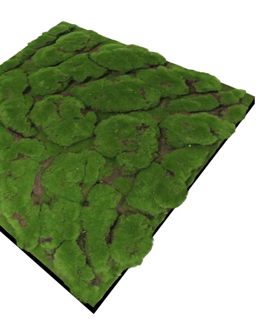 Jangal Akustikpaneler & Tilbehør|Grønne Vægpaneler*Modular Wall mospanel 52 x 52 cm - Dark Green Bulk