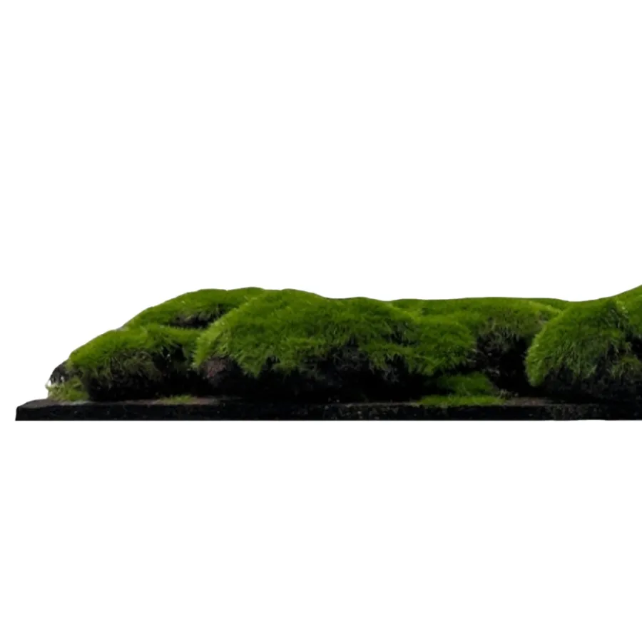 Jangal Akustikpaneler & Tilbehør|Grønne Vægpaneler*Modular Wall mospanel 52 x 52 cm - Dark Green Bulk