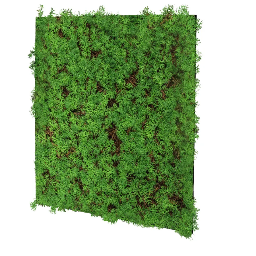 Jangal Grønne Vægpaneler|Akustikpaneler & Tilbehør*Modular Wall plantepanel 52 x 52 cm - Thuja