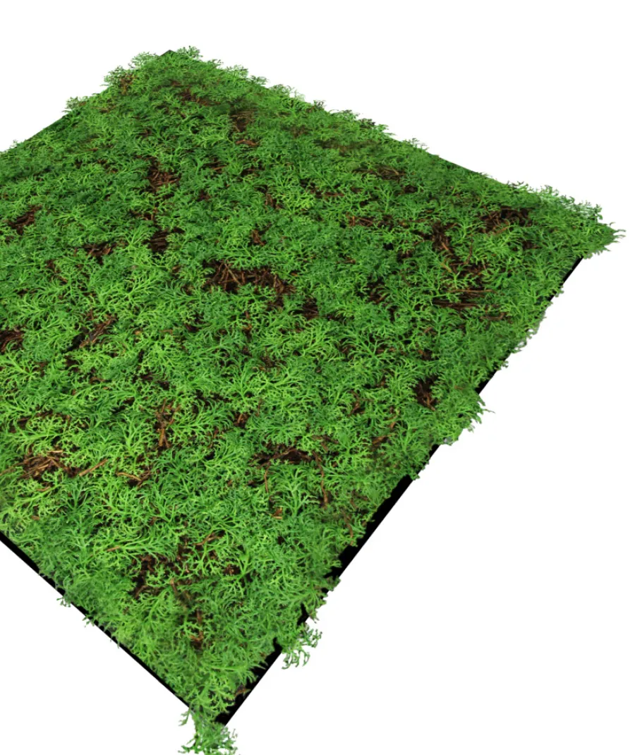 Jangal Grønne Vægpaneler|Akustikpaneler & Tilbehør*Modular Wall plantepanel 52 x 52 cm - Thuja