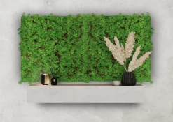 Jangal Grønne Vægpaneler|Akustikpaneler & Tilbehør*Modular Wall plantepanel 52 x 52 cm - Thuja