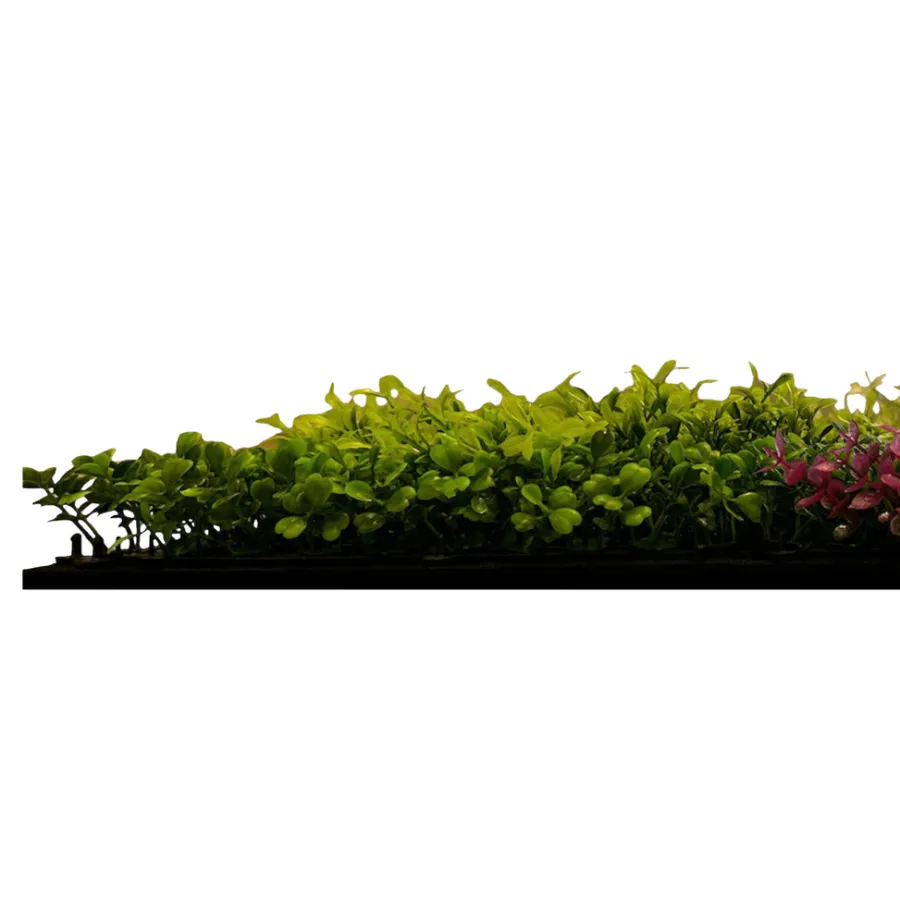 Jangal Grønne Vægpaneler|Akustikpaneler & Tilbehør*Modular Wall plantepanel 52 x 52 cm - Pink Mix