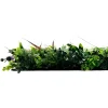 Jangal Grønne Vægpaneler|Akustikpaneler & Tilbehør*Modular Wall plantepanel 52 x 52 cm - Exotic Mix