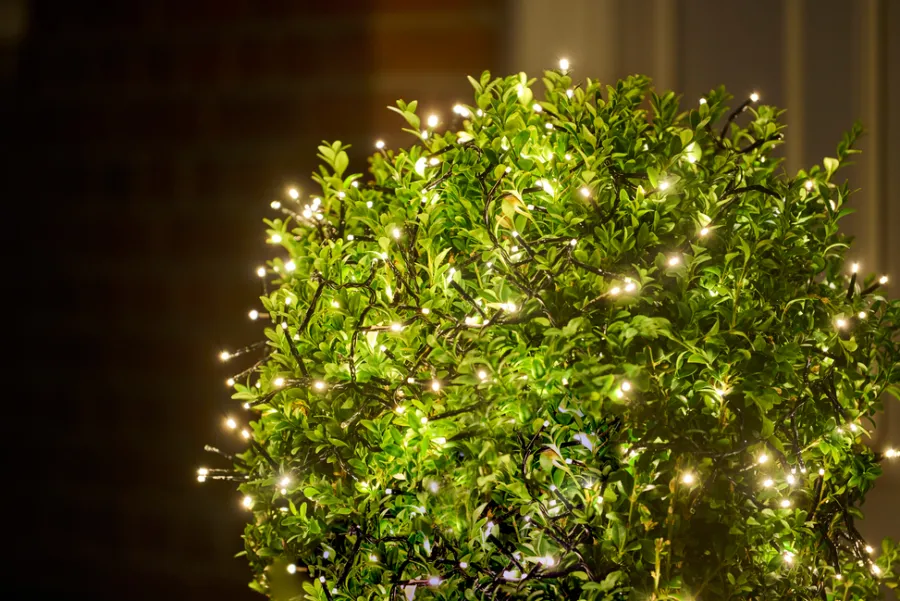 Stemning® Dekorativ Belysning - Udendørs*Klyngelys Basis 384 LED m/blink varm hvid 8 meter