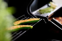 Grillexpert® Kulgrill & Briketter|Gasgrill*Kombigrill til gas og kul - Sort