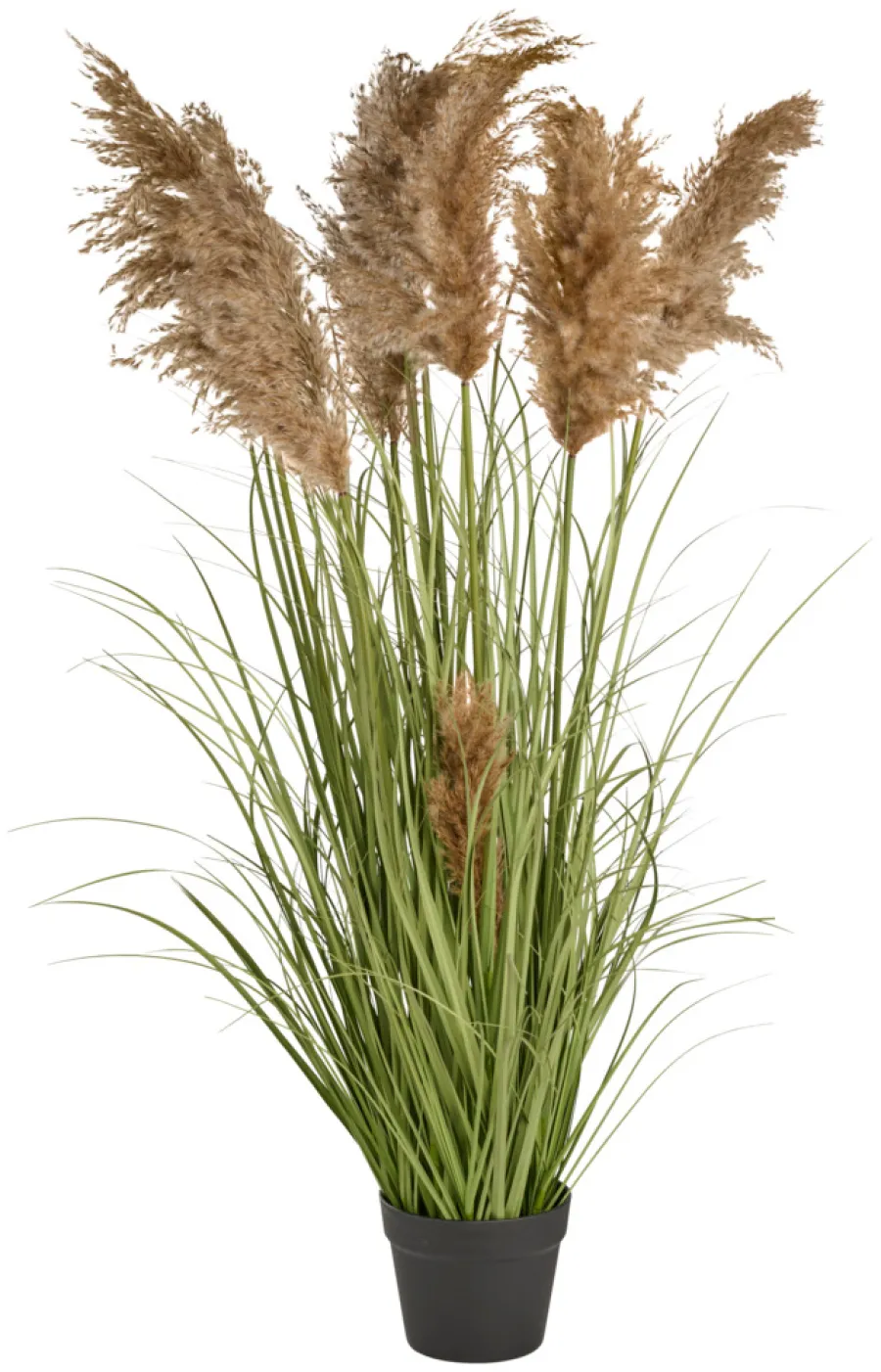 Sæsonafslutning|Kunstige Planter*Kunstgræs med ægte pampas 120 cm