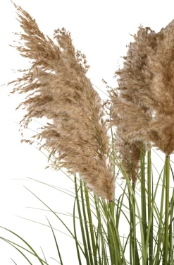 Sæsonafslutning|Kunstige Planter*Kunstgræs med ægte pampas 120 cm