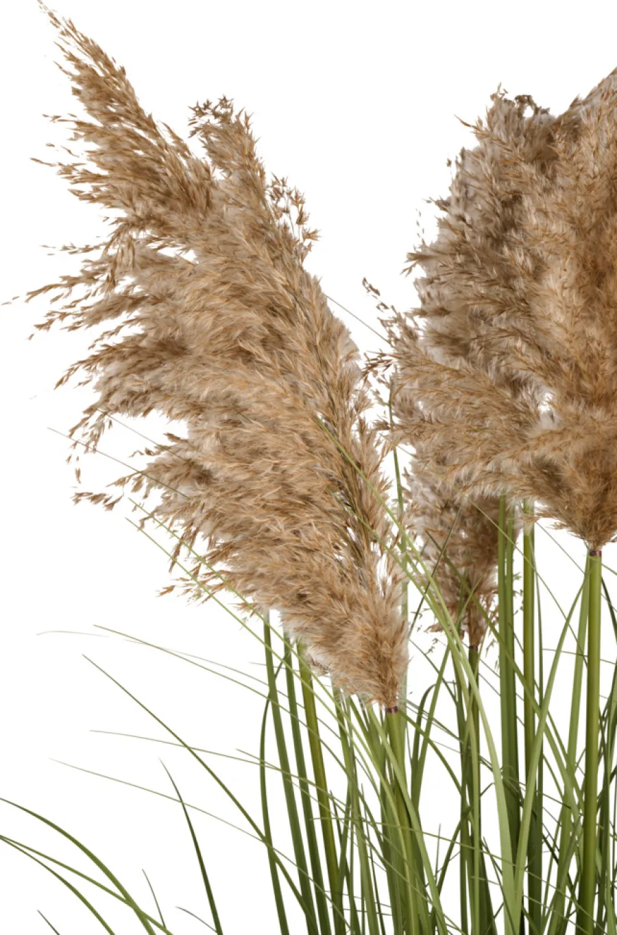 Sæsonafslutning|Kunstige Planter*Kunstgræs med ægte pampas 120 cm