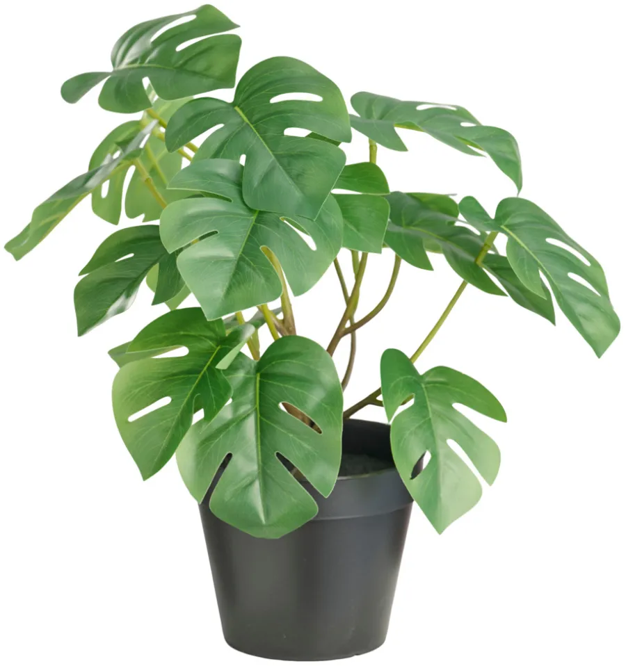 DAY Sæsonafslutning|Kunstige Planter*Kunstig monstera i potte H32 cm -