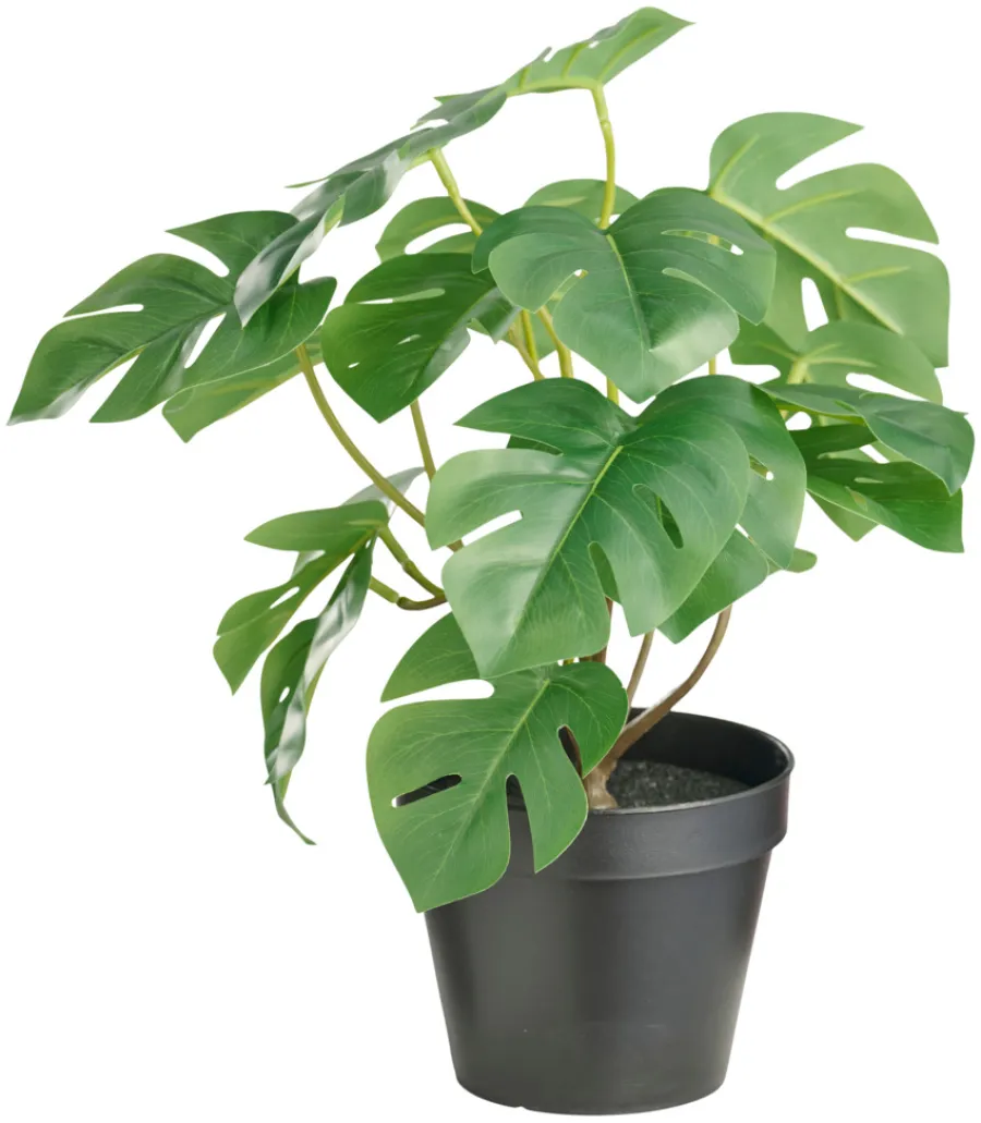 DAY Sæsonafslutning|Kunstige Planter*Kunstig monstera i potte H32 cm -