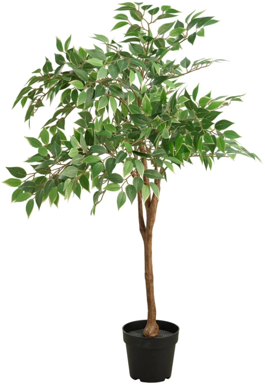 DAY Sæsonafslutning|Kunstige Planter*Kunstigt ficus træ H125 cm udendørs -