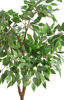 DAY Sæsonafslutning|Kunstige Planter*Kunstigt ficus træ H125 cm udendørs -