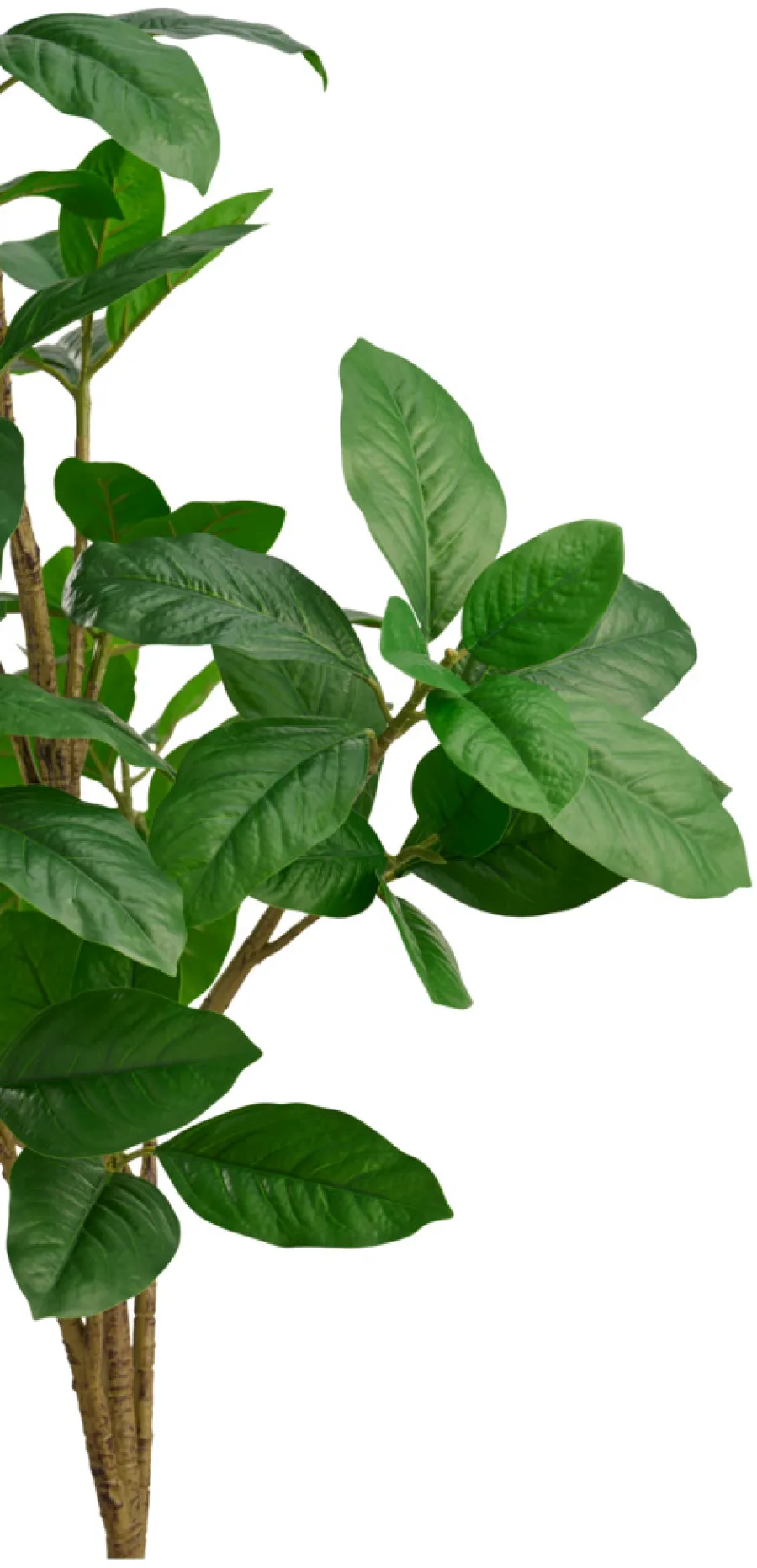 DAY Sæsonafslutning|Kunstige Planter*Kunstigt magnoliatræ H125 cm udendørs -