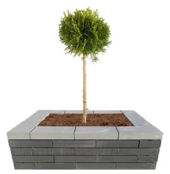 Betongruppen RBR Læ- & Støttemure*Murblok Nordic Wall grå 60 x 30 x 12 cm