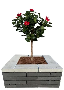Betongruppen RBR Læ- & Støttemure*Murblok Nordic Wall grå 60 x 30 x 12 cm