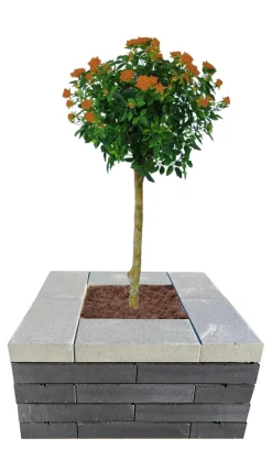 Betongruppen RBR Læ- & Støttemure*Murblok Nordic Wall koks 60 x 30 x 12 cm
