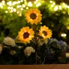 Garden® Sæsonafslutning|Solcellelamper*Solcelleblomst Solsikke -