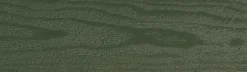 TræFix® Træbeskyttelse*træbeskyttelse heldækkende grøn umbra 5 l Grøn umbra (NCS S 7020-G50Y)